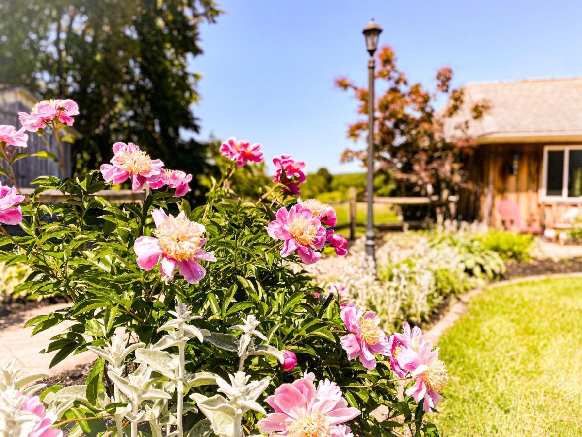 Butler House At The Cherry Creek Inn المظهر الخارجي الصورة